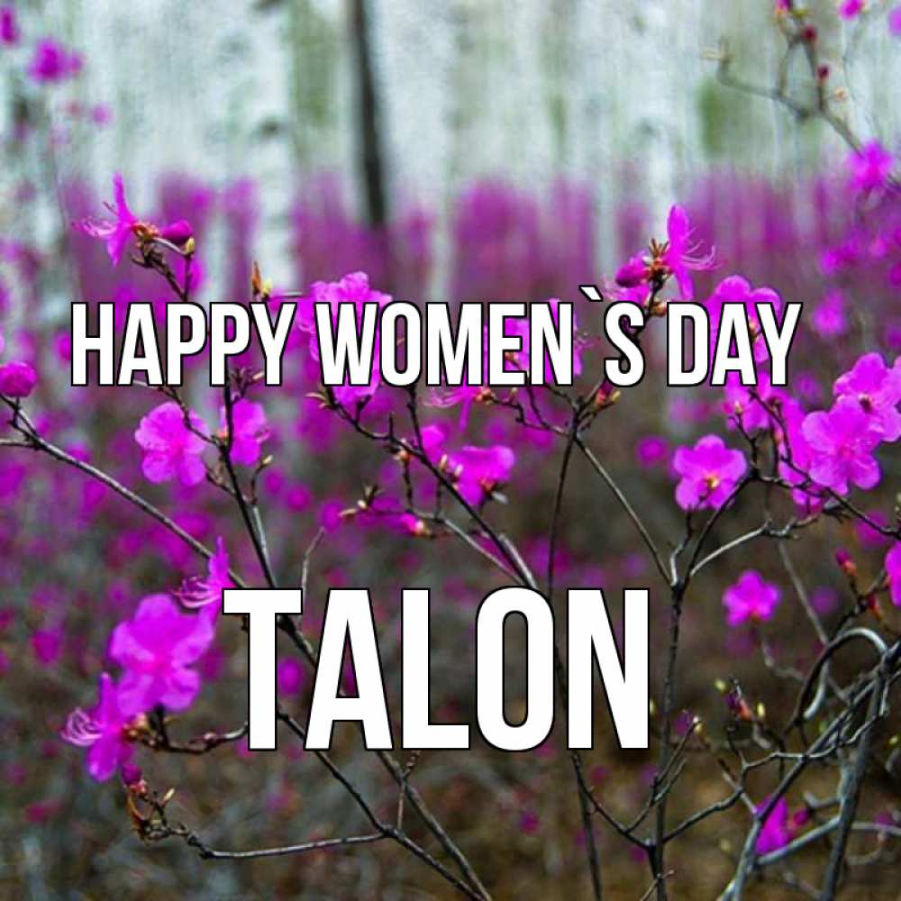 Greetings card с именем, Talon happy women`s day дикие цветы Greetings with text for free download 